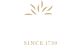 Logo de Ruggieri dont est concessionnaire Bretagne Pyro spécialiste du tir de feux d'artifices, spectacles sons et lumières et illuminations